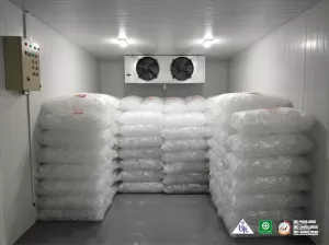 Cold room freezer untuk simpan es batu